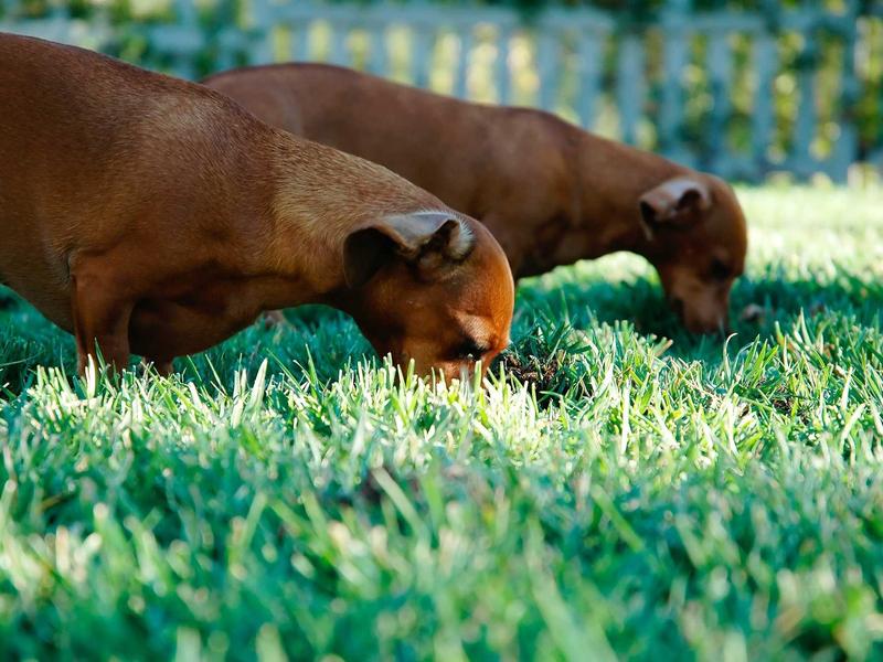 android screenshot 4