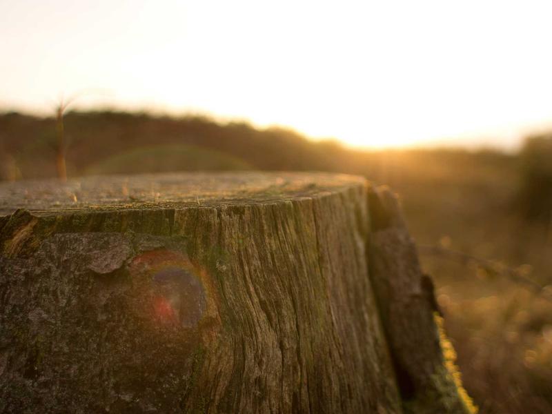 android screenshot 6